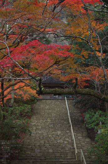 室生寺紅葉(2)_2012yaotomi_3.jpg