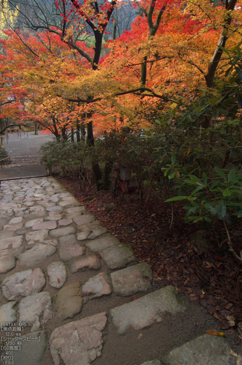 室生寺紅葉(2)_2012yaotomi_7.jpg