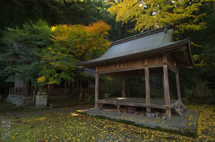 岩戸落葉神社_紅葉2012_yaotomi_5s.jpg