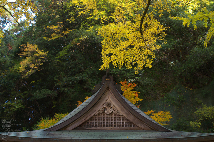 岩戸落葉神社_紅葉2012_yaotomi_8s.jpg