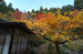 常照皇寺_紅葉2012_yaotomi_17s.jpg