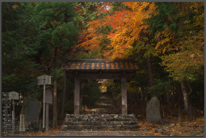 常照皇寺_紅葉2012_yaotomi_1t.jpg