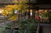 常照皇寺_紅葉2012_yaotomi_22s.jpg