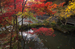 常照皇寺_紅葉2012_yaotomi_26s.jpg