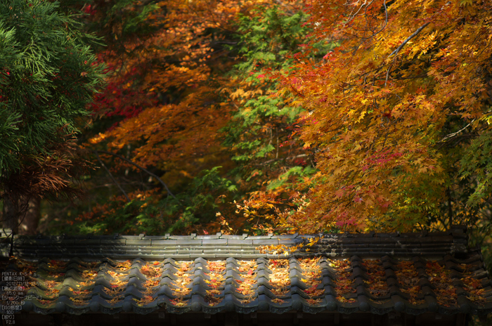 常照皇寺_紅葉2012_yaotomi_63s.jpg