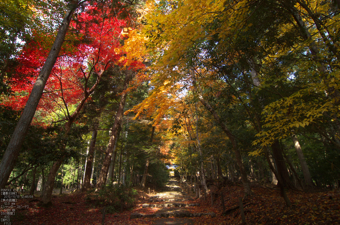 常照皇寺_紅葉2012_yaotomi_6s.jpg