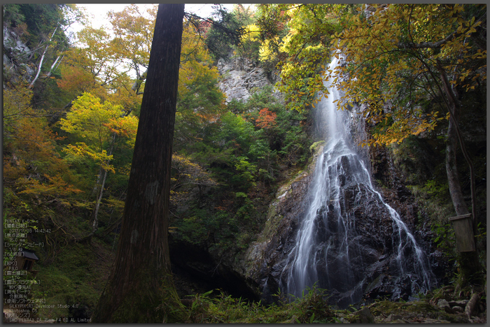 御船の滝_紅葉2012_yaotomi_1t.jpg