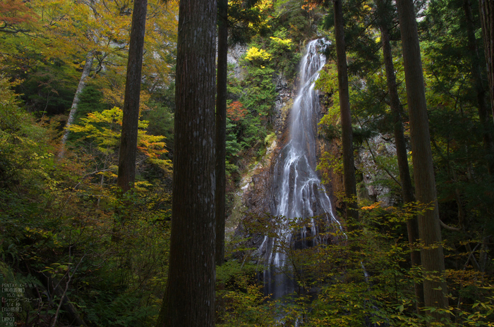 御船の滝_紅葉2012_yaotomi_5s.jpg