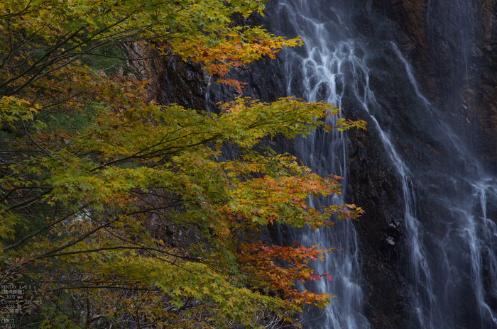 御船の滝_紅葉2012_yaotomi_7s.jpg