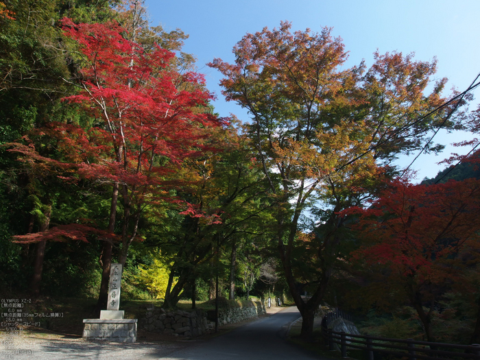 正暦寺紅葉_yaotomi2012_30s.jpg