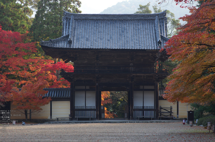 神護寺_紅葉2012_yaotomi_12s.jpg