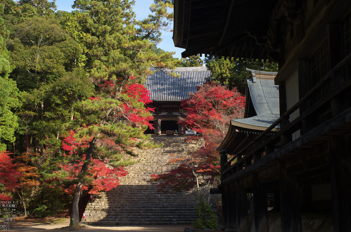 神護寺_紅葉2012_yaotomi_16s.jpg