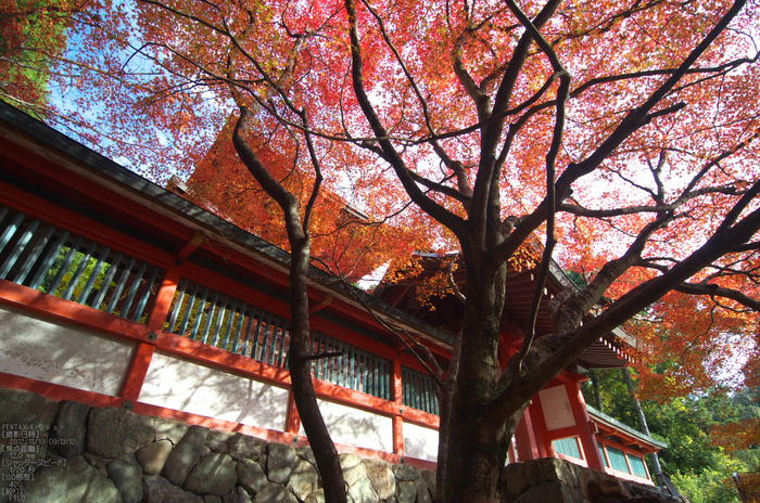 神護寺_紅葉2012_yaotomi_26s.jpg