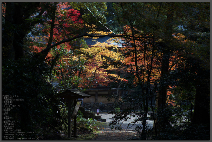 神護寺_紅葉2012_yaotomi_31t.jpg