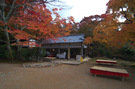 神護寺_紅葉2012_yaotomi_36s.jpg