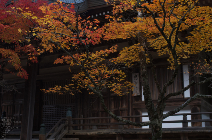 神護寺_紅葉2012_yaotomi_55s.jpg