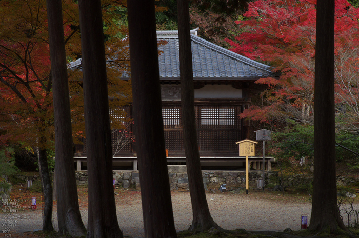 神護寺_紅葉2012_yaotomi_57s.jpg