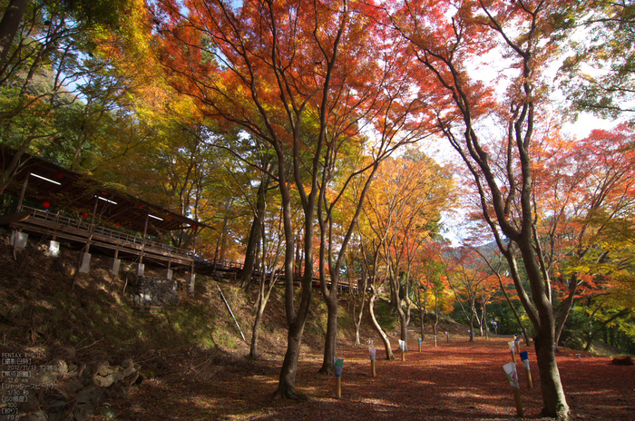 神護寺_紅葉2012_yaotomi_61s.jpg