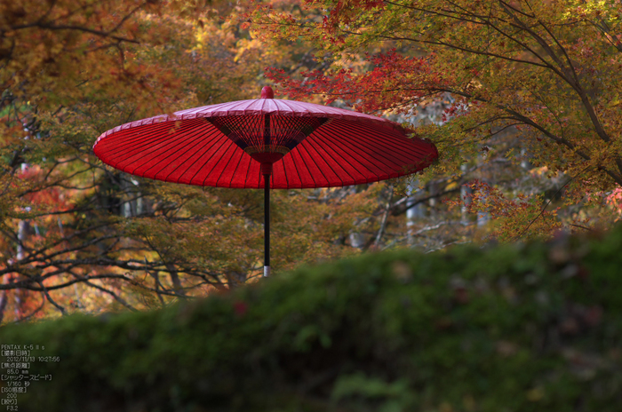 神護寺_紅葉2012_yaotomi_62s.jpg