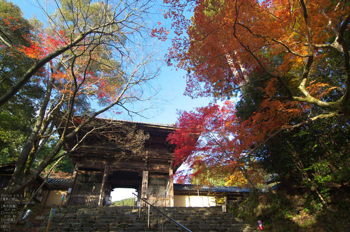 神護寺_紅葉2012_yaotomi_6s.jpg