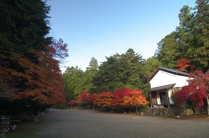 神護寺_紅葉2012_yaotomi_8s.jpg