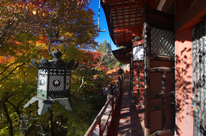 談山神社・紅葉_2012yaotomi_13.jpg