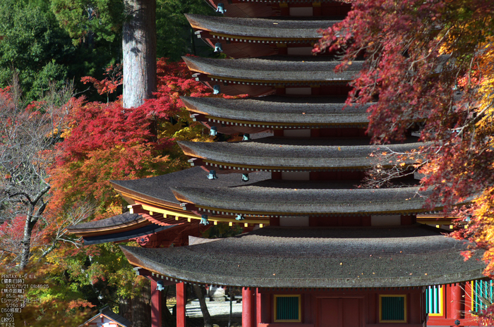 談山神社・紅葉_2012yaotomi_15.jpg