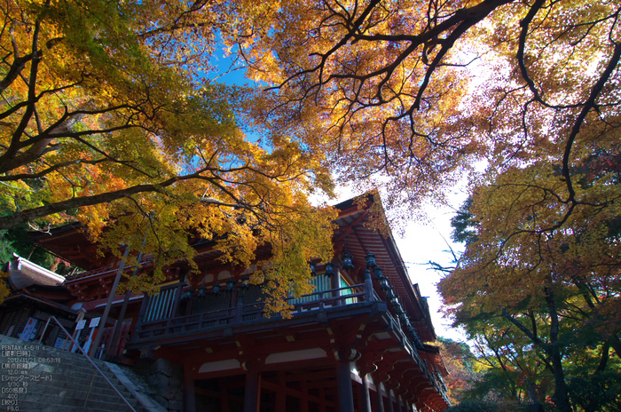 談山神社・紅葉_2012yaotomi_16.jpg