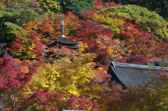 談山神社・紅葉_2012yaotomi_22.jpg