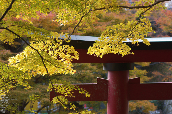 談山神社・紅葉_2012yaotomi_25.jpg