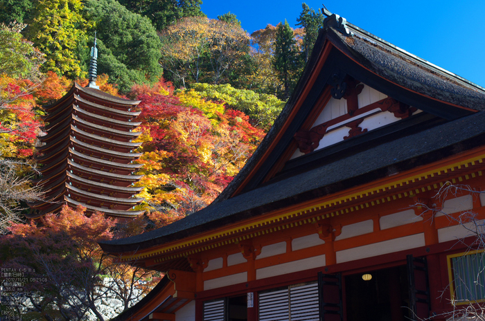 談山神社・紅葉_2012yaotomi_27.jpg