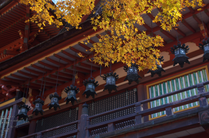 談山神社・紅葉_2012yaotomi_29.jpg