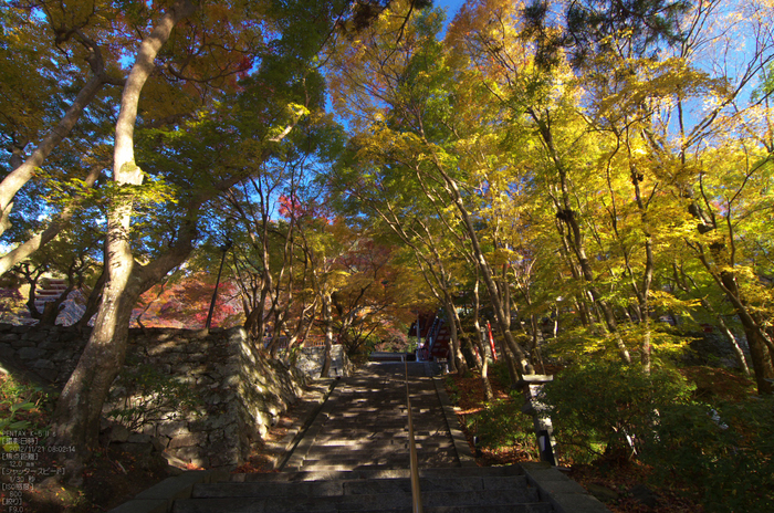 談山神社・紅葉_2012yaotomi_5.jpg