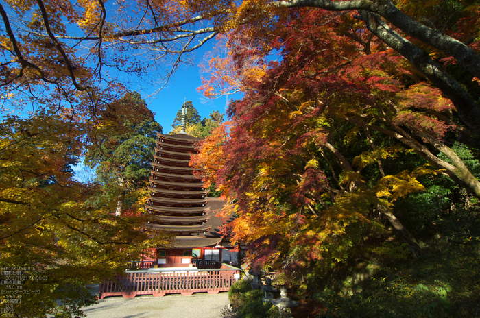 談山神社・紅葉_2012yaotomi_8.jpg