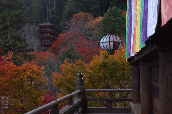 長谷寺_紅葉2012_yaotomi_13s.jpg