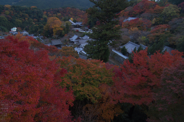 長谷寺_紅葉2012_yaotomi_20s.jpg