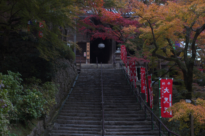 長谷寺_紅葉2012_yaotomi_27s.jpg