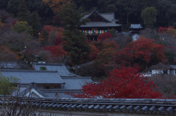 長谷寺_紅葉2012_yaotomi_32s.jpg