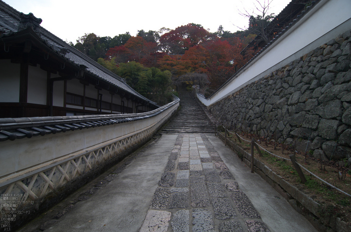 長谷寺_紅葉2012_yaotomi_3s.jpg