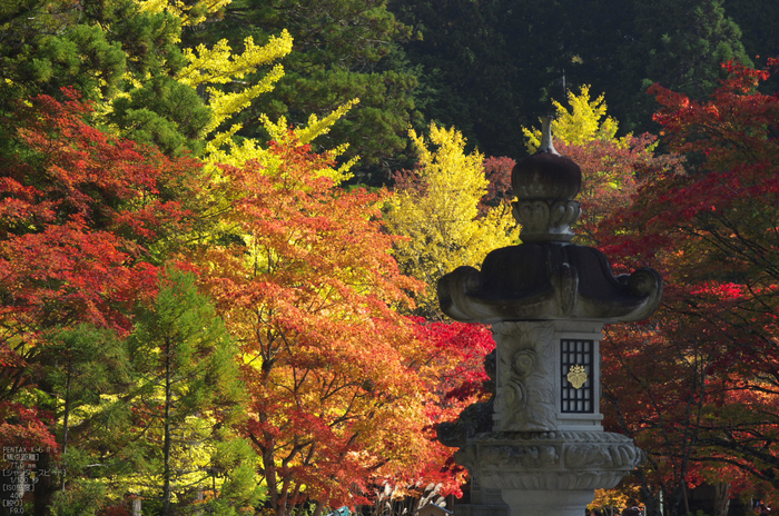 高野山_紅葉2012_K5IIs_yaotomi_13s.jpg