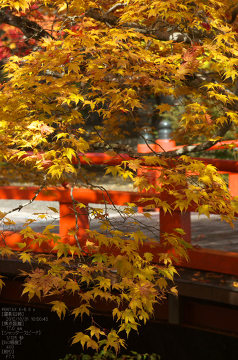 高野山_紅葉2012_K5IIs_yaotomi_16s.jpg