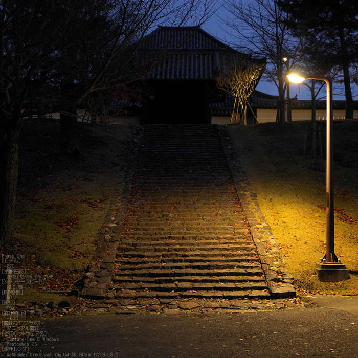 PhaseOne_P20_奈良東大寺_201212yaotomi_1t.jpg