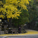 PhaseOne_P20_奈良東大寺_201212yaotomi_50.jpg