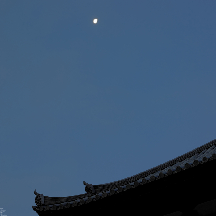 PhaseOne_P20_奈良東大寺_201212yaotomi_5full.jpg