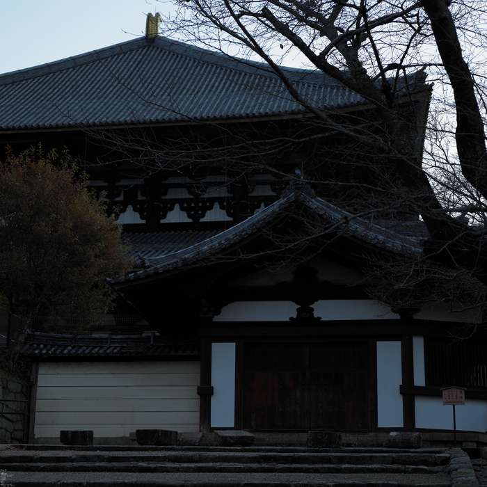 PhaseOne_P20_奈良東大寺_201212yaotomi_6full.jpg