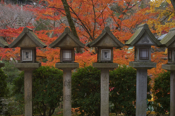 信貴山朝護孫子寺紅葉_2012yaotomi_10.jpg