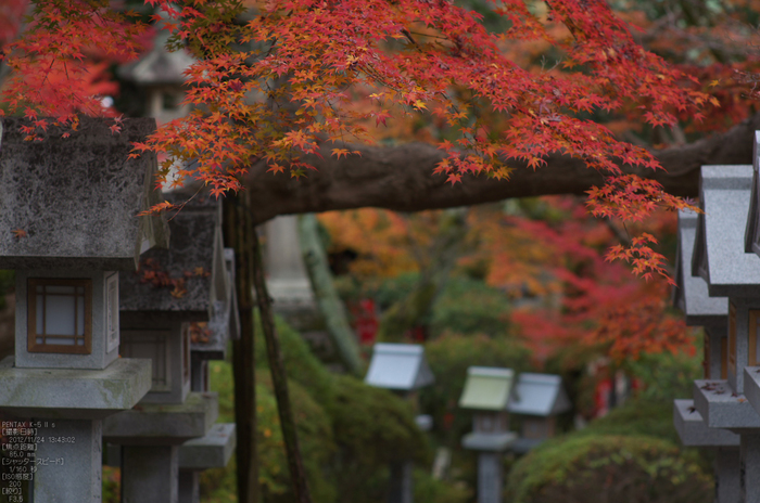 信貴山朝護孫子寺紅葉_2012yaotomi_13.jpg