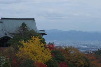 信貴山朝護孫子寺紅葉_2012yaotomi_15.jpg