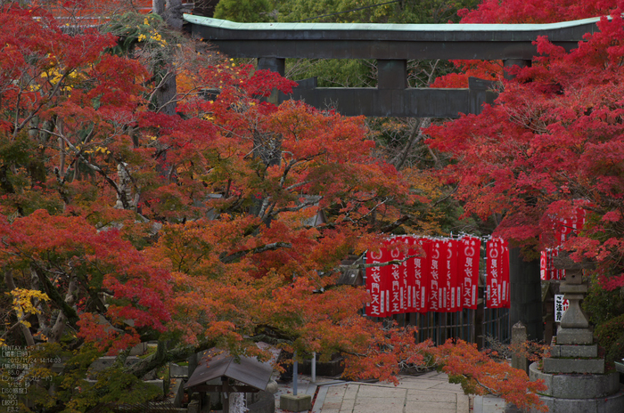 信貴山朝護孫子寺紅葉_2012yaotomi_18.jpg