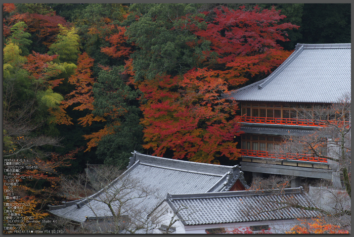 信貴山朝護孫子寺紅葉_2012yaotomi_1t.jpg